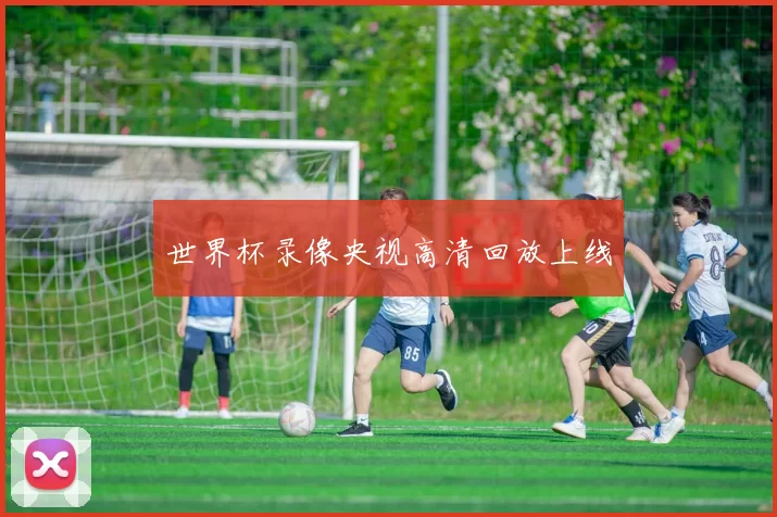 世界杯录像央视高清回放上线