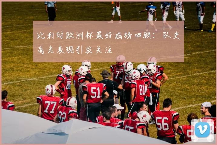 比利时欧洲杯最好成绩回顾：队史高光表现引发关注