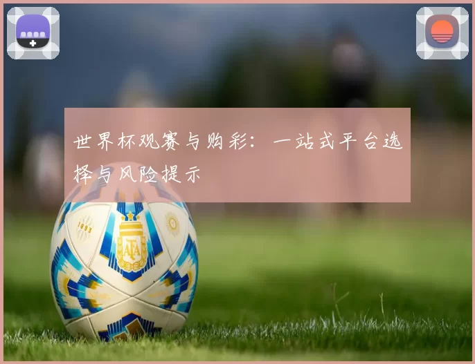 世界杯观赛与购彩:一站式平台选择与风险提示