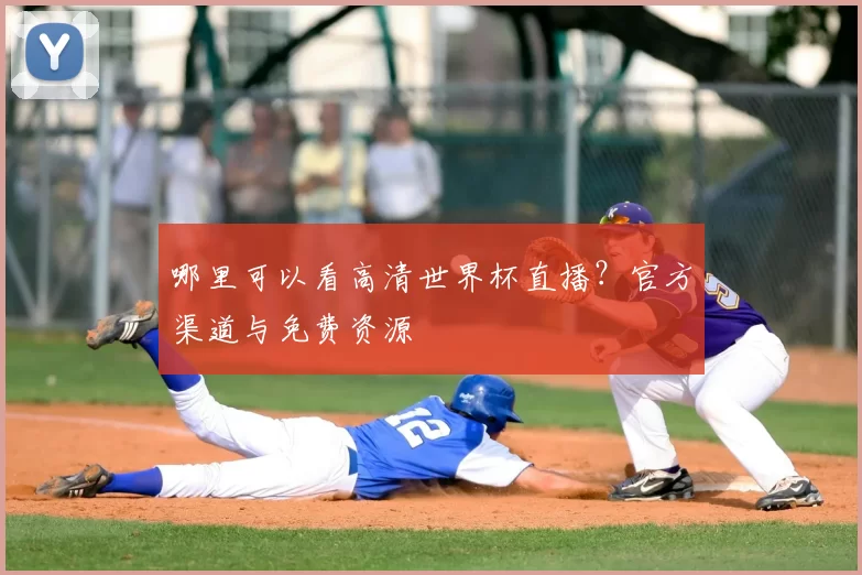 哪里可以看高清世界杯直播？官方渠道与免费资源