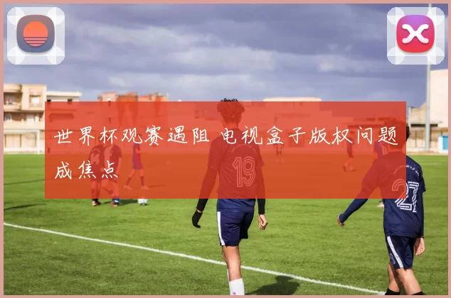 世界杯观赛遇阻 电视盒子版权问题成焦点