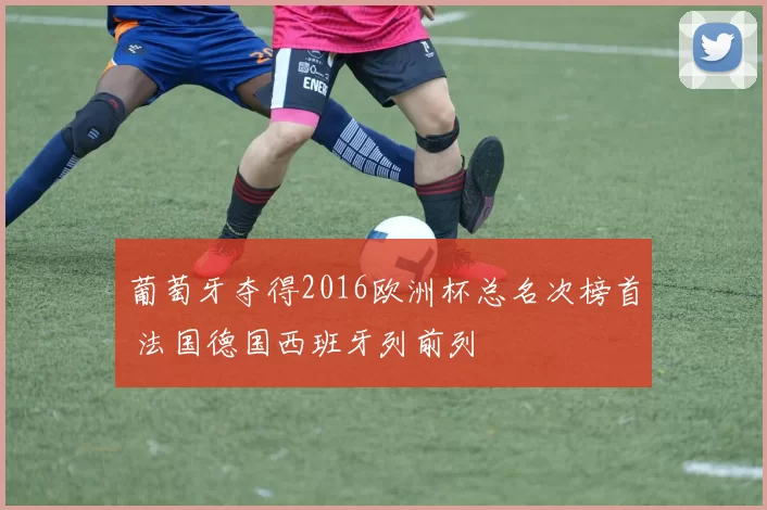 葡萄牙夺得2016欧洲杯总名次榜首 法国德国西班牙列前列