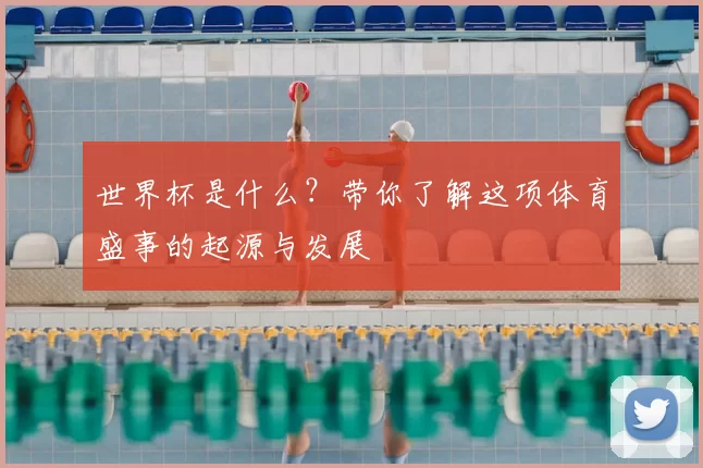世界杯是什么？带你了解这项体育盛事的起源与发展