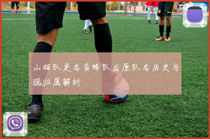 山猫队更名黄蜂队后原队名历史与现归属解析