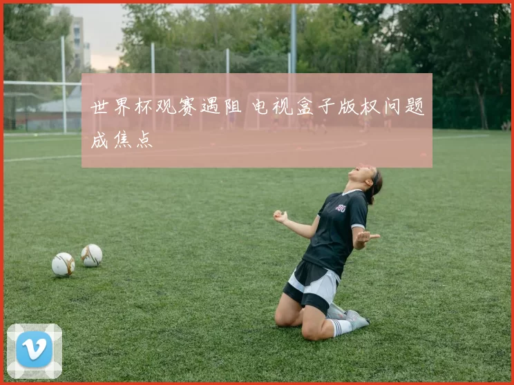 世界杯观赛遇阻 电视盒子版权问题成焦点