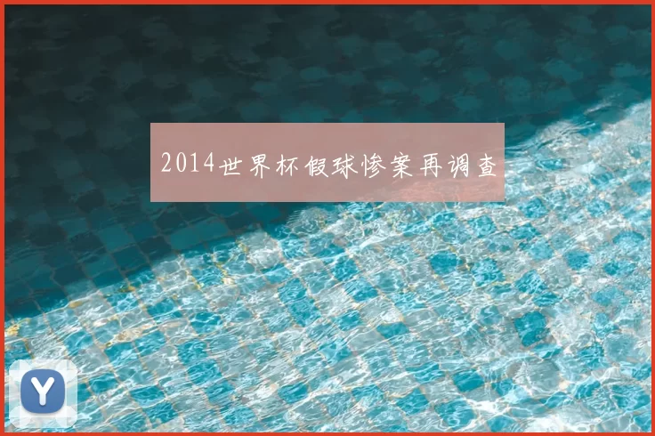 2014世界杯假球惨案再调查