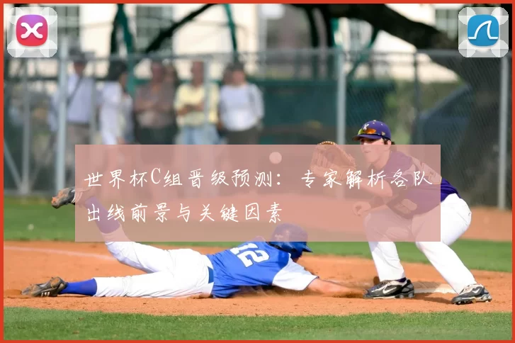 世界杯C组晋级预测：专家解析各队出线前景与关键因素