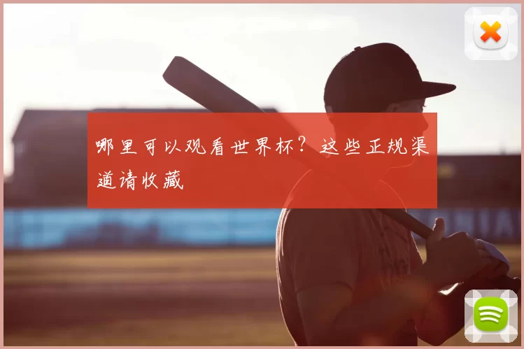 哪里可以观看世界杯？这些正规渠道请收藏