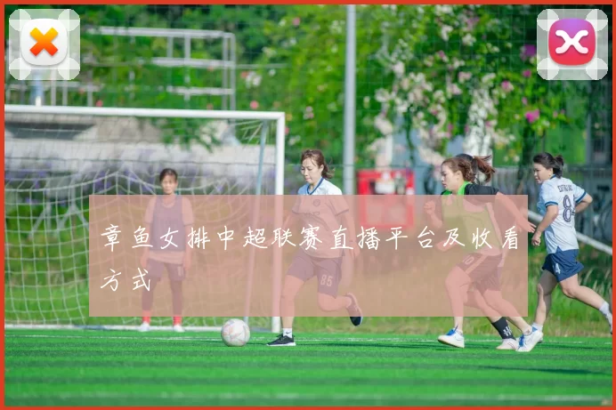 章鱼女排中超联赛直播平台及收看方式