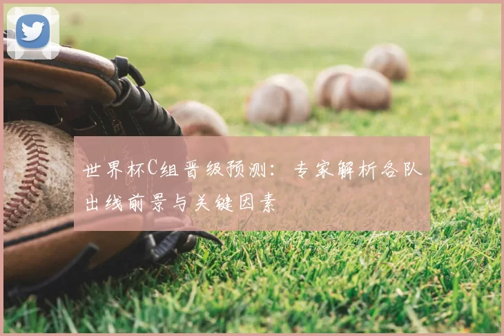世界杯C组晋级预测：专家解析各队出线前景与关键因素