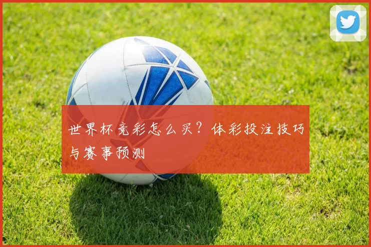 世界杯竞彩怎么买？体彩投注技巧与赛事预测