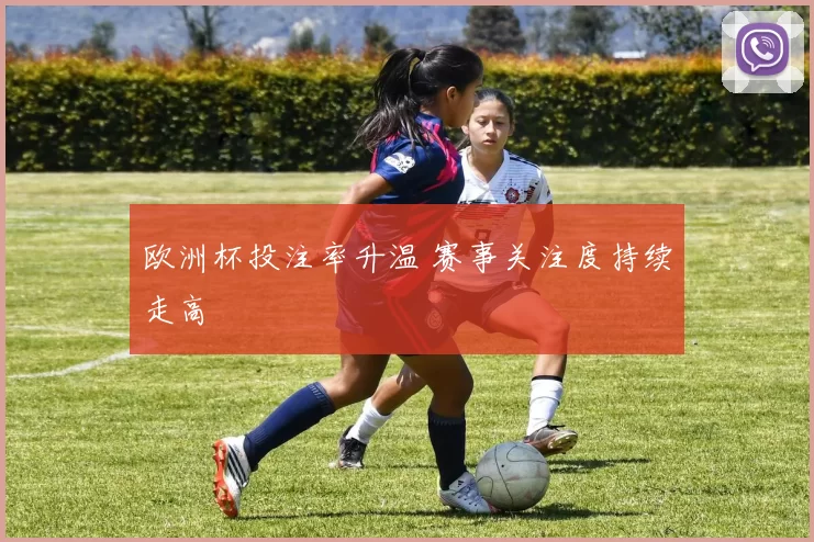 欧洲杯投注率升温 赛事关注度持续走高