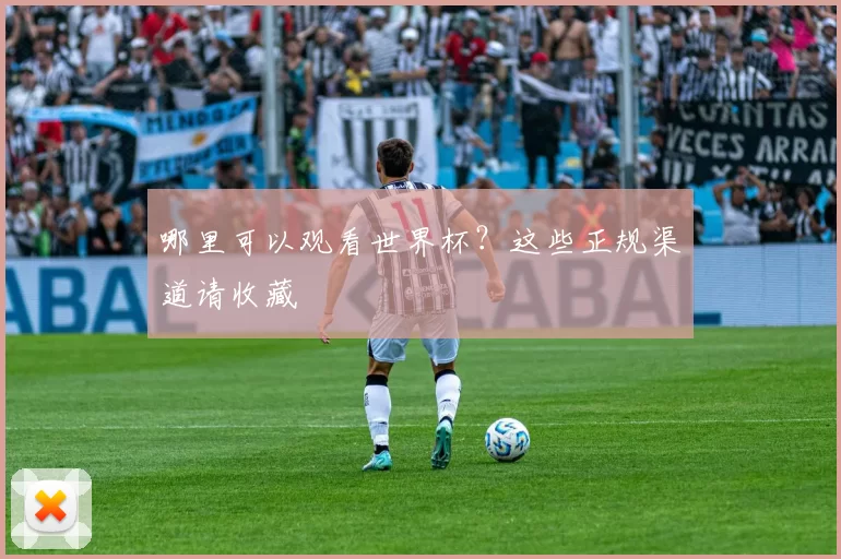 哪里可以观看世界杯？这些正规渠道请收藏