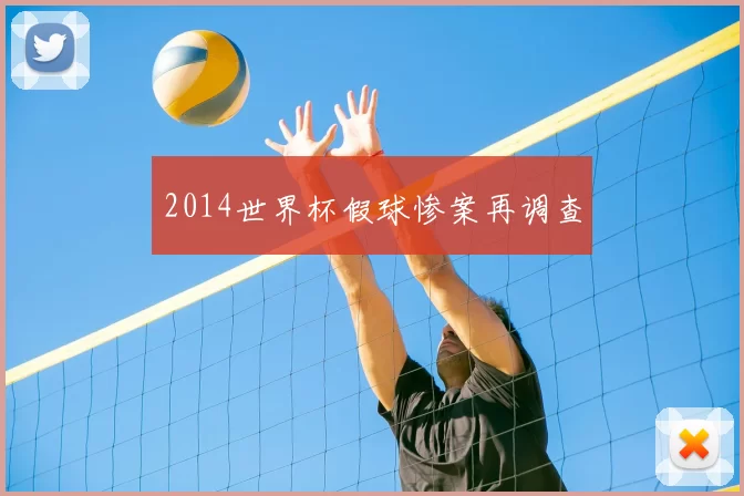 2014世界杯假球惨案再调查