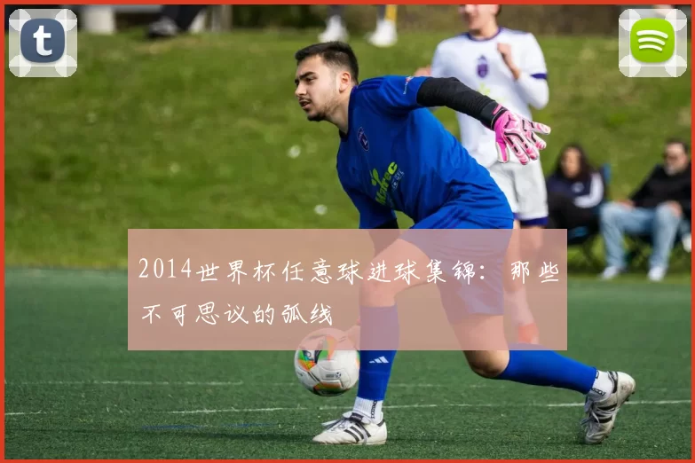 2014世界杯任意球进球集锦:那些不可思议的弧线